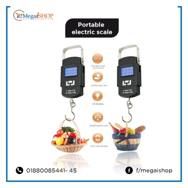 portble electronic scale
